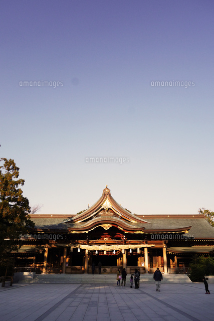 寒川神社の菊の御紋、[10669007809]の写真・イラスト素材｜アマナ