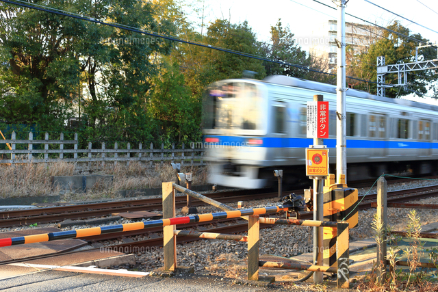 踏切を通過する電車 の写真素材 イラスト素材 アマナイメージズ