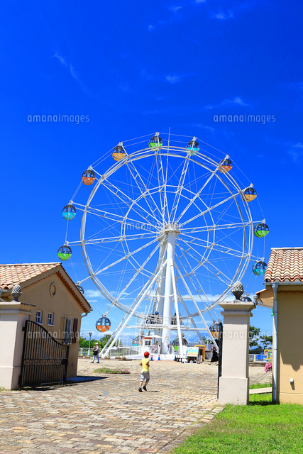 ソレイユの丘 長井海の手公園 の写真素材 イラスト素材 アマナイメージズ