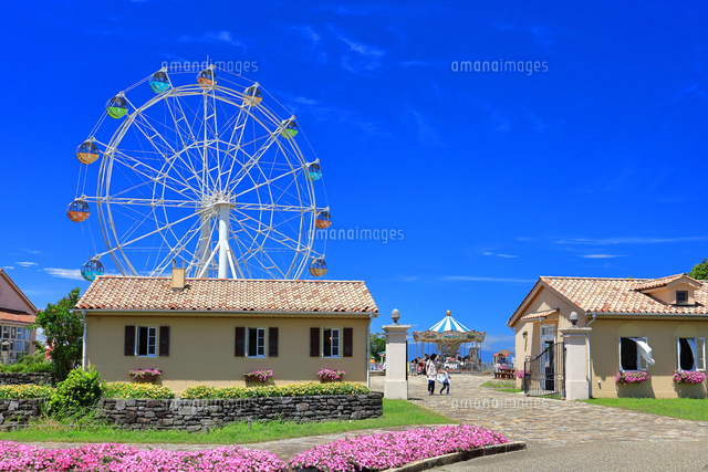 ソレイユの丘 長井海の手公園 の写真素材 イラスト素材 アマナイメージズ