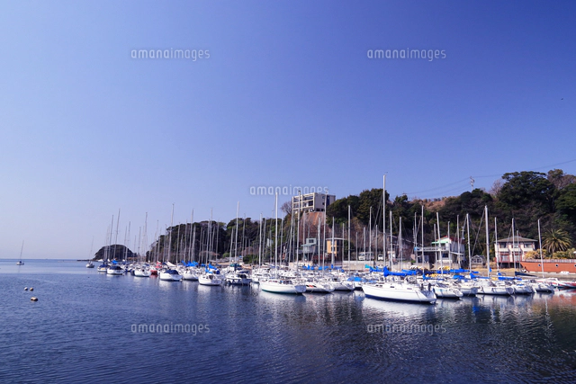 神奈川県 油壺のヨットハーバー[10669009986]の写真・イラスト素材