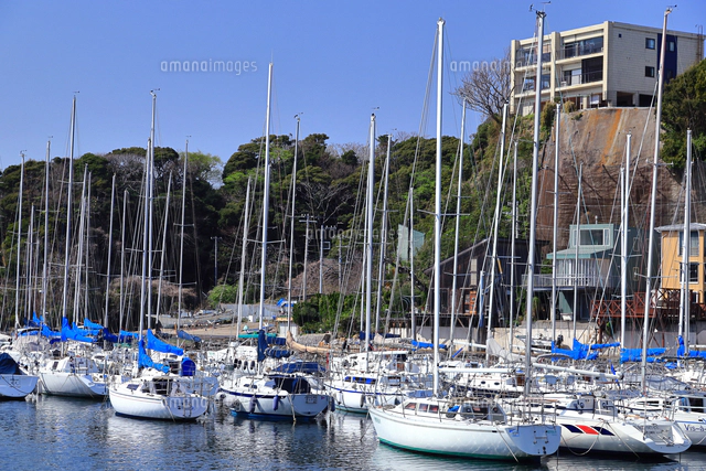 神奈川県 油壺のヨットハーバー[10669009986]の写真・イラスト素材