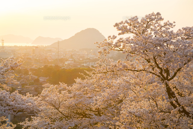 吉田松陰誕生地より指月山と萩の町並み の写真素材 イラスト素材 アマナイメージズ