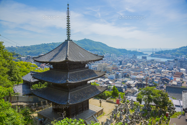 天寧寺三重塔と尾道の町並み[10685004535]の写真・イラスト素材