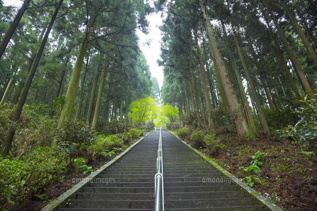 釈迦院御坂遊歩道にて日本一の石段 の写真素材 イラスト素材 アマナイメージズ