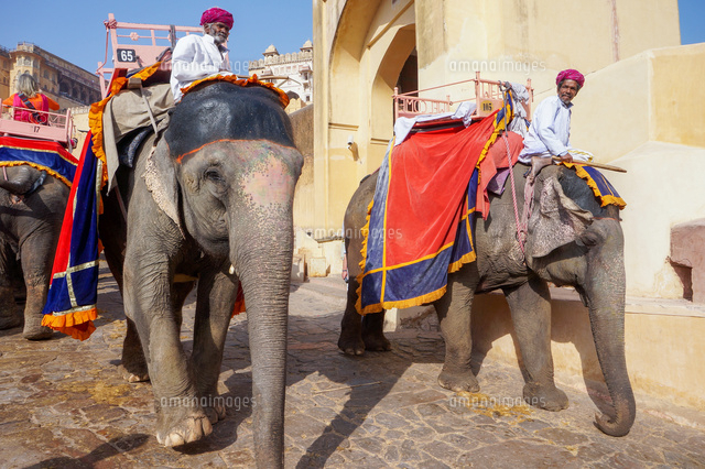 インド ゾウのタクシー の写真素材 イラスト素材 アマナイメージズ