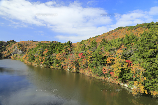 笹川湖の紅葉 の写真素材 イラスト素材 アマナイメージズ