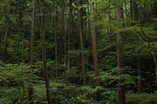 �y�ߕ�z�s��l�u�g�c�Ɂh�̌��i�����Ċ������Ă�v���c�ɂ��ؔ���wwwwwwwwwwwwwwwwwwww  [802034645]YouTube����>1�{ ->�摜>6�� 