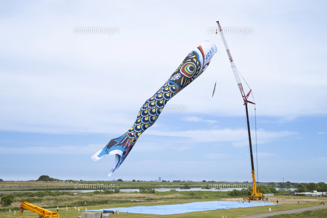 加須市民平和祭 ジャンボこいのぼり遊泳[10696005519]の写真・イラスト