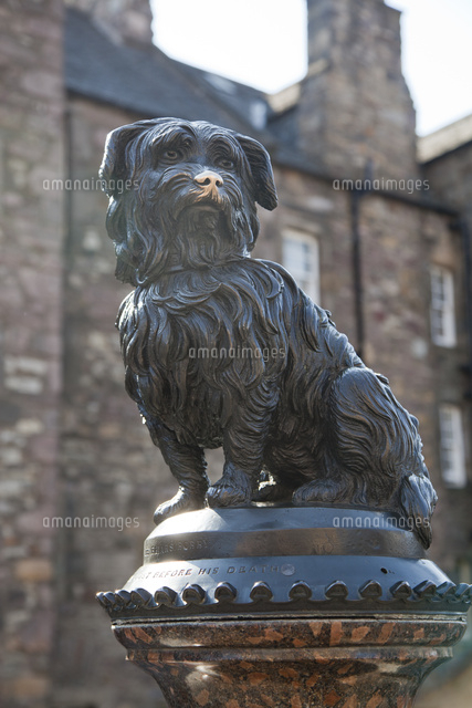 グレイフライアーズのボビー の写真素材 イラスト素材 アマナイメージズ