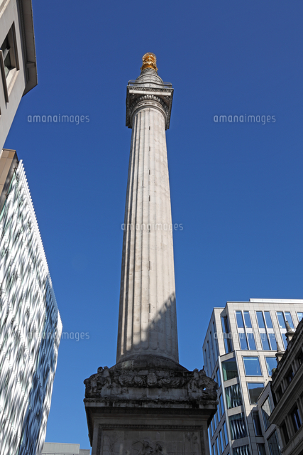 ロンドン大火記念塔 の写真素材 イラスト素材 アマナイメージズ
