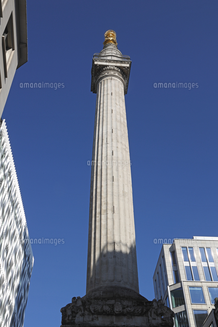 ロンドン大火記念塔 の写真素材 イラスト素材 アマナイメージズ