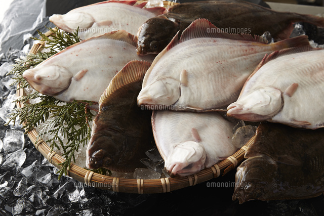 真カレイ の写真素材 イラスト素材 アマナイメージズ