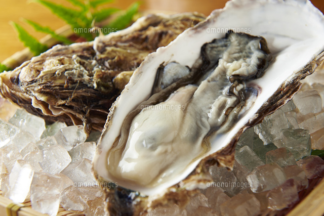 生牡蠣 の写真素材 イラスト素材 アマナイメージズ