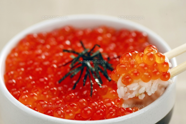 いくら丼 の写真素材 イラスト素材 アマナイメージズ