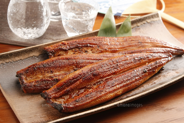 うなぎ の写真素材 イラスト素材 アマナイメージズ