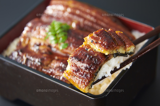 うな重 の写真素材 イラスト素材 アマナイメージズ うな重 の写真素材 イラスト素材 アマナイメージズ