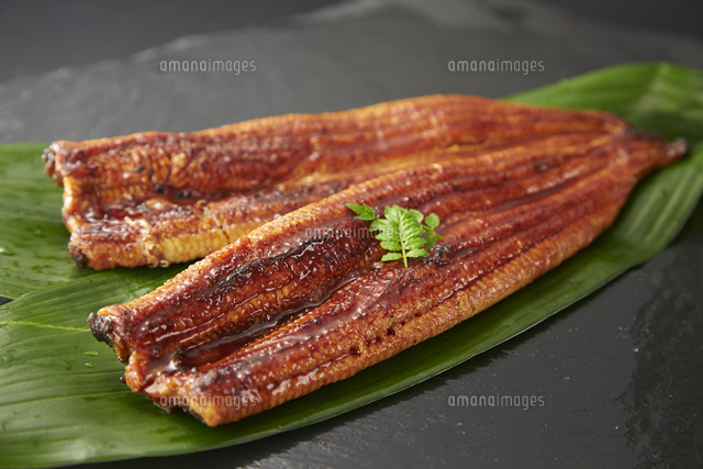 うなぎ蒲焼 の写真素材 イラスト素材 アマナイメージズ