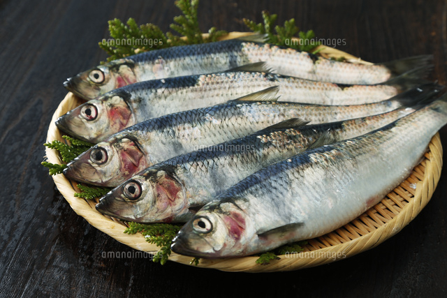 ニシン の写真素材 イラスト素材 アマナイメージズ