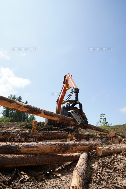 森林伐採フェラーバンチャ の写真素材 イラスト素材 アマナイメージズ