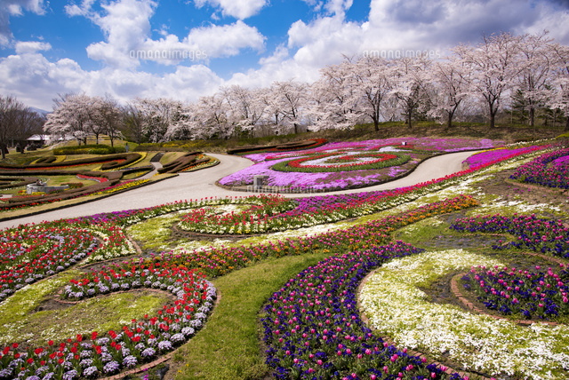 春の花々が咲く国営みちのく杜の湖畔公園[10729004805]の写真