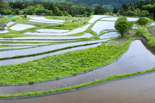 田植え前の棚田 の写真素材 イラスト素材 アマナイメージズ