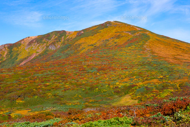 栗駒山 須川岳 の紅葉 の写真素材 イラスト素材 アマナイメージズ