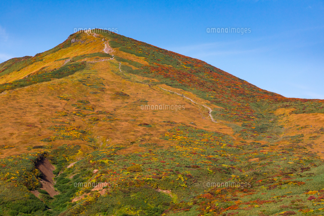 栗駒山 須川岳 の紅葉 の写真素材 イラスト素材 アマナイメージズ