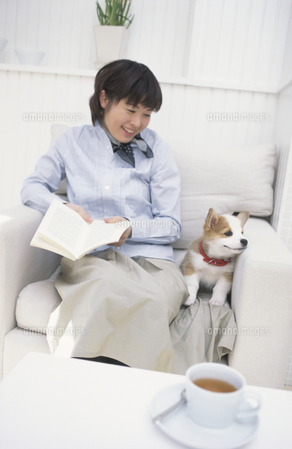 本を読む女性と膝に座る犬 コーギー の写真素材 イラスト素材 アマナイメージズ 本を読む女性と膝に座る犬 コーギー の写真素材 イラスト素材 アマナイメージズ