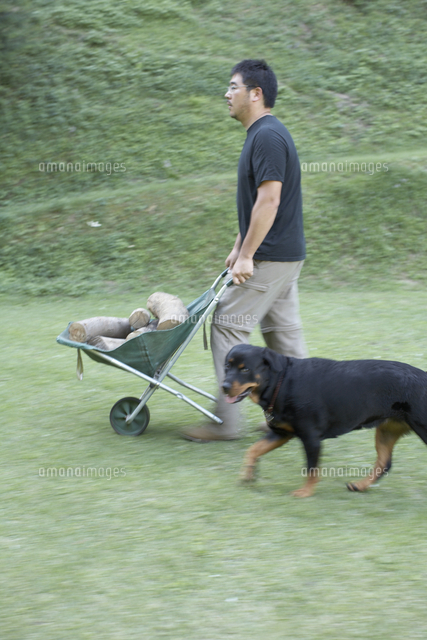 薪を運ぶ男性と犬 の写真素材 イラスト素材 アマナイメージズ
