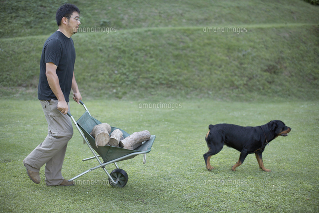 薪を運ぶ男性と犬 の写真素材 イラスト素材 アマナイメージズ