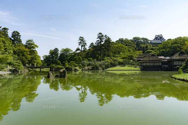 玄宮園全景と彦根城 の写真素材 イラスト素材 アマナイメージズ