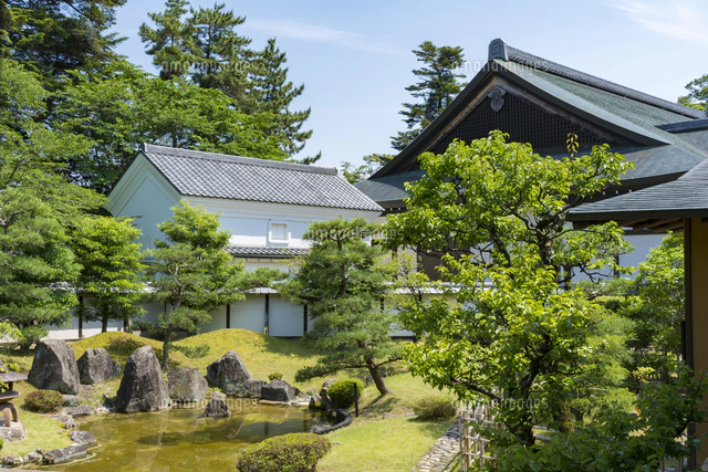 彦根城博物館の日本庭園[10737000327]の写真・イラスト素材｜アマナ