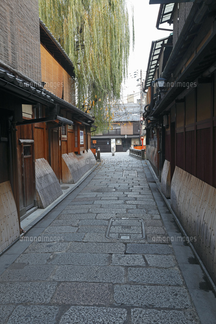 12月 初冬の祇園界隈 京都の冬景色 の写真素材 イラスト素材 アマナイメージズ