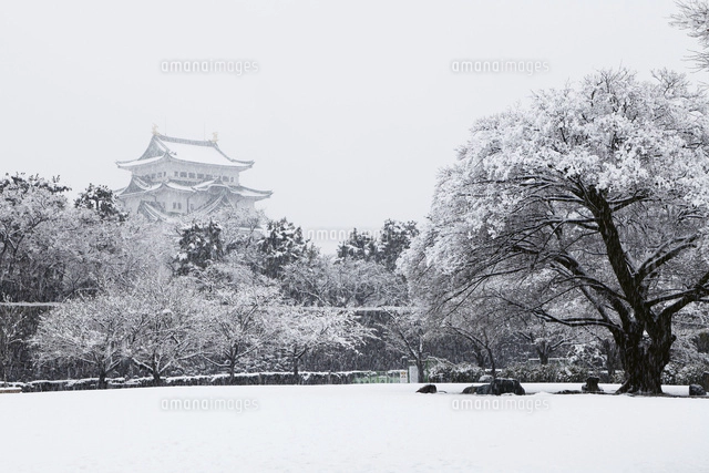 1月冬 雪の名古屋城 愛知の雪景色[10738000176]の写真・イラスト素材 