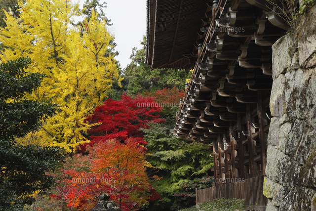 11月 紅葉の書写山圓教寺 の写真素材 イラスト素材 アマナイメージズ