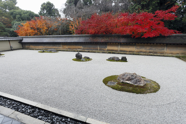 11月秋 紅葉の龍安寺石庭 の写真素材 イラスト素材 アマナイメージズ 11月秋 紅葉の龍安寺石庭 の写真素材 イラスト素材 アマナイメージズ