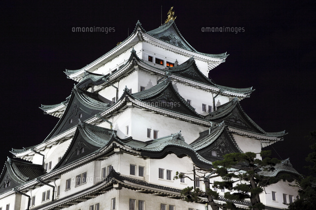 8月夏 ライトアップされた名古屋城天守閣 の写真素材 イラスト素材 アマナイメージズ