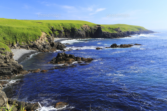 7月夏,北海道の花咲岬海岸[10738001556]の写真・イラスト素材｜アマナ