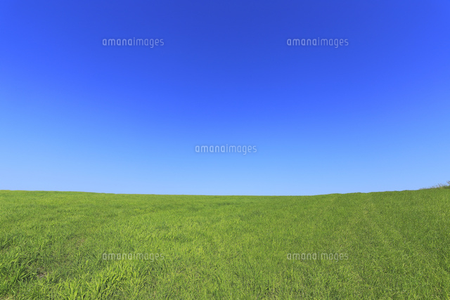 7月の青空と緑の草原 北海道根釧台地の夏景色 の写真素材 イラスト素材 アマナイメージズ