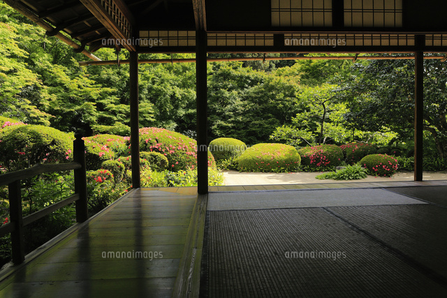 6月 サツキの詩仙堂 の写真素材 イラスト素材 アマナイメージズ