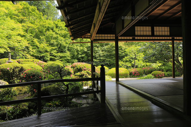 6月 サツキの詩仙堂 の写真素材 イラスト素材 アマナイメージズ