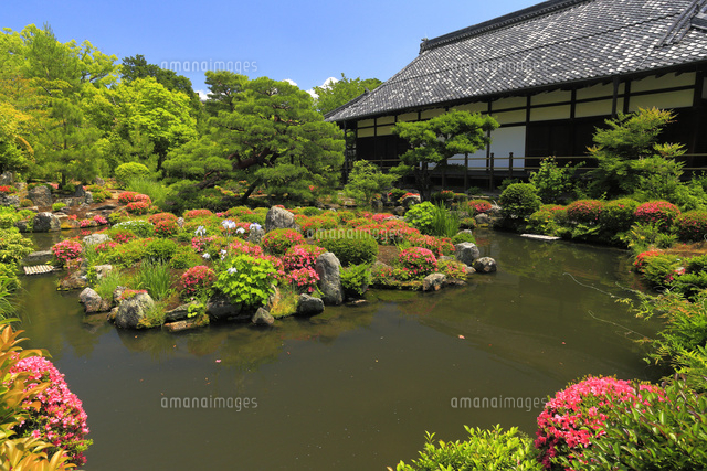 6月 サツキの等持院 の写真素材 イラスト素材 アマナイメージズ