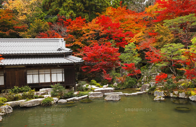 11月秋 紅葉の百済寺 滋賀の秋景色 の写真素材 イラスト素材 アマナイメージズ