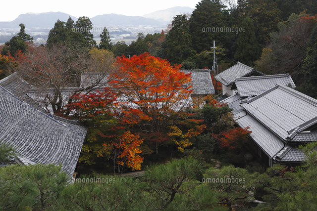 11月秋 紅葉の百済寺 滋賀の秋景色 の写真素材 イラスト素材 アマナイメージズ