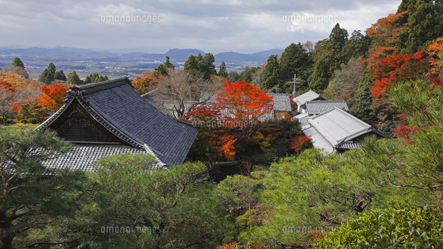 11月秋 紅葉の百済寺 滋賀の秋景色 の写真素材 イラスト素材 アマナイメージズ