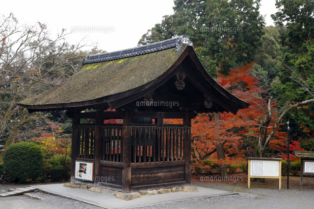 11月 紅葉の三井寺 園城寺 近江の古刹 の写真素材 イラスト素材 アマナイメージズ
