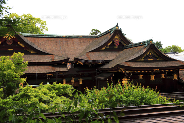 5月 新緑の北野天満宮のもみじ苑 の写真素材 イラスト素材 アマナイメージズ