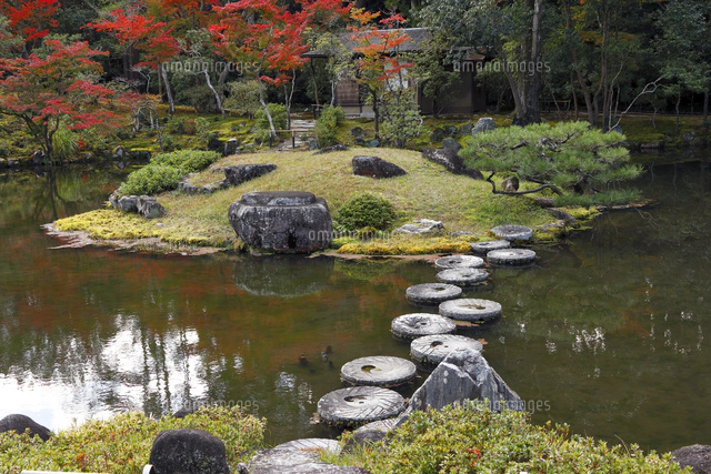 11月 紅葉の浄瑠璃寺 京都の古刹[10738003622]の写真・イラスト