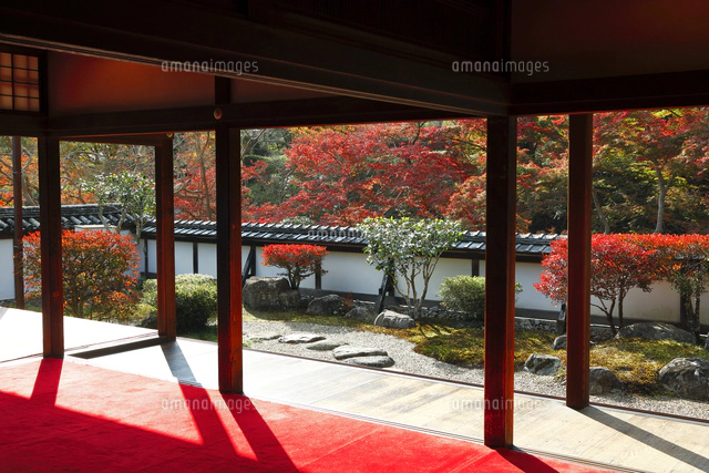 【中古】 極める・日本の美と心 京都の名刹 8 一休寺・浄瑠璃寺 中古】 極める・日本の美と心 京都の名刹 8 一休寺・浄瑠璃寺 その他